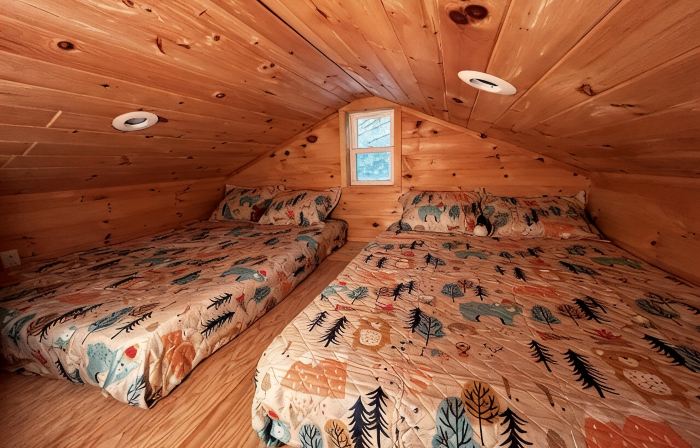 A cozy Adirondack cabin with mountain and lake views!