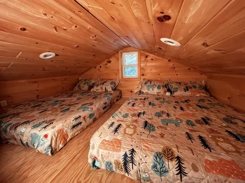 A cozy Adirondack cabin with mountain and lake views! - Alphydda