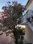 Modern Seaview Apartment with 2 Bathrooms and Beaches Just Steps Away - 3-Star