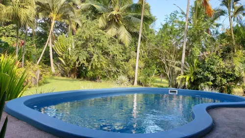 Absolute Beachfront Holiday Cottage with Private Saltwater Pool on Savusavu Bay - 3-stjärniga