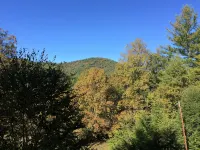 Enchanted Cottage In Ashe County - Wifi