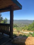 Tree Top View