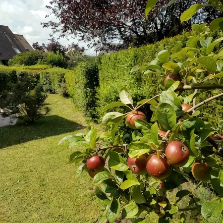 Charming cottage on the heights of Houlgate 2 Bedrooms / 5 persons