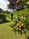 Charming cottage on the heights of Houlgate 2 Bedrooms / 5 persons