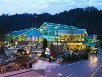 InCabinHeatedPool EV Charger Arcades-KingBeds-Sleeps20-W/D-EV2 - Private Pool