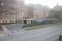 Oasis Luxe Suite—Steps from Mayo Clinic Hospital - Condos