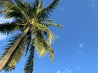 Tales of Pacific : F2 Central et Spacieux, Piscine, Salle de Sport et vue mer Hotels in Faaa