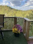 Private Mountain View cabin on 5 acres, great patio with creek below back patio. - Mountain view