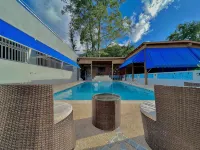 Luxury Villa with Pool, Heated Jacuzzi, & Terrace in El Yunque Rainforest - Villas