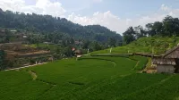 Le Pandai