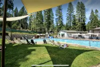 The Cozy Cub: Air Conditioning, Dog Friendly, Pool Table, Private Lakes in Bls - Pools