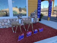 Antlers Inn Hotels in Plumas County