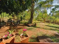 Jungle Eco Lodge & Safari - غرفة مطلة على الجبل