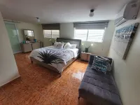 Luquillo Oasis