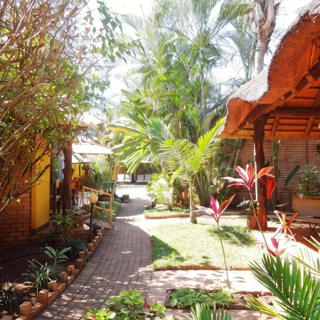 Trees Too Guest Lodge