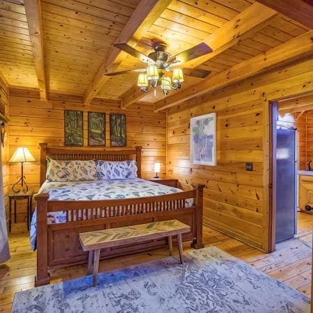 Family Cabin with Hot Tub, Game Room & Pool Access