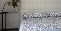 特努塔聖卡特里納酒店 - 宠物友好