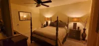 Desert Fun! - Wi-Fi