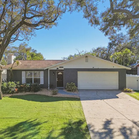 Tropical Oasis in the Heart of Tampa - Perfect for Families or Couples