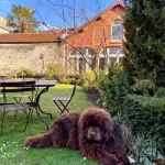 Fab House - les Maisons Fabuleuses - Pensionat