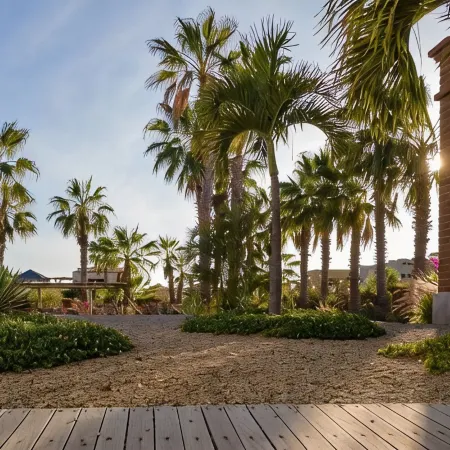 Casa Del Arte - a modern desert oasis ft. in Vogue