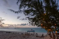 Pool, Beachfront Villa, 16 Ppl, Chef, Boat Tours, Starlink, BBQ -  Habitaciones en casas particulares