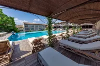 Hôtel le Roi Théodore & Spa - Beach