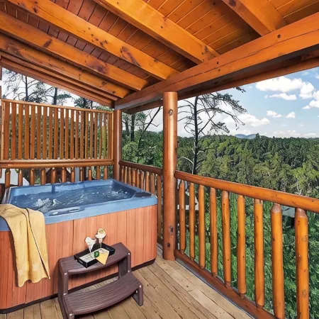 STUNNING MOUNTAIN VIEWS!! 2 br/2.5 ba Cabin, plus Loft! PRICE REDUCTION!