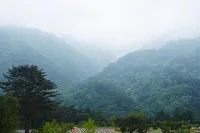 양양 덴버하우스펜션 - 펜션