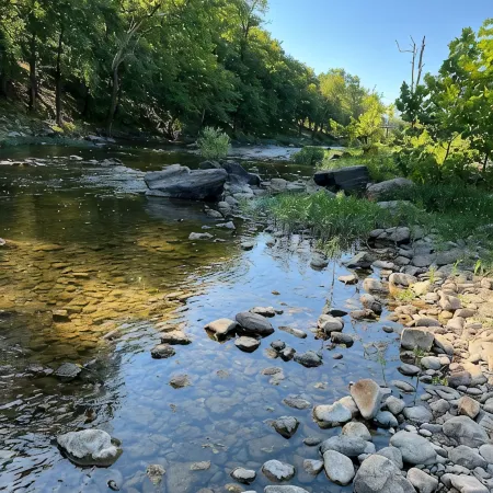 Relax on the Caddo