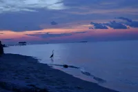 Soul Surfing II: Private Beach-Breathtaking Sunset Island Views - 비치
