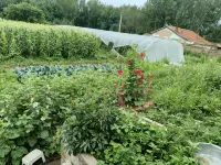 Huichi Homestay - Pet friendly