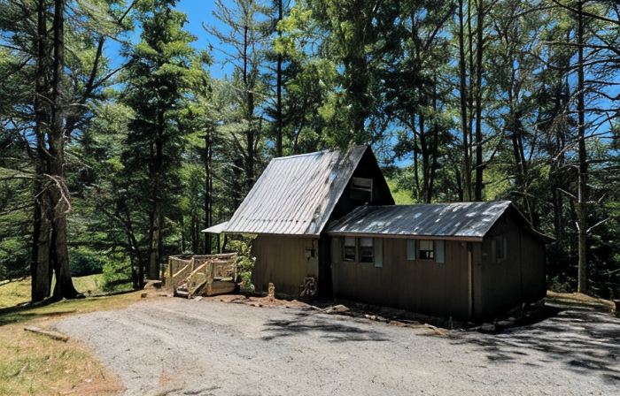 HOT TUB! Nature Delight! 2 Acre Cabin Hot Tub- Creek & Dog Friendly Fast WIFI!