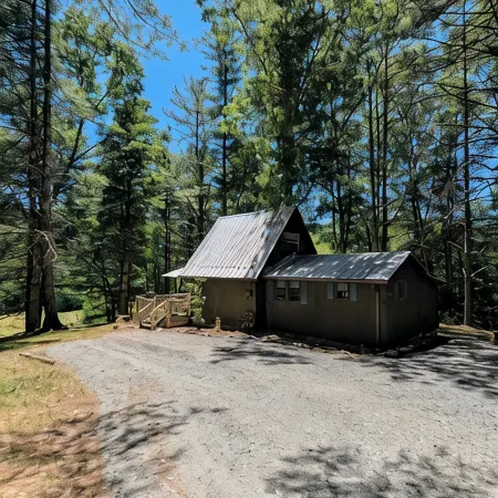 HOT TUB! Nature Delight! 2 Acre Cabin Hot Tub- Creek & Dog Friendly Fast WIFI!