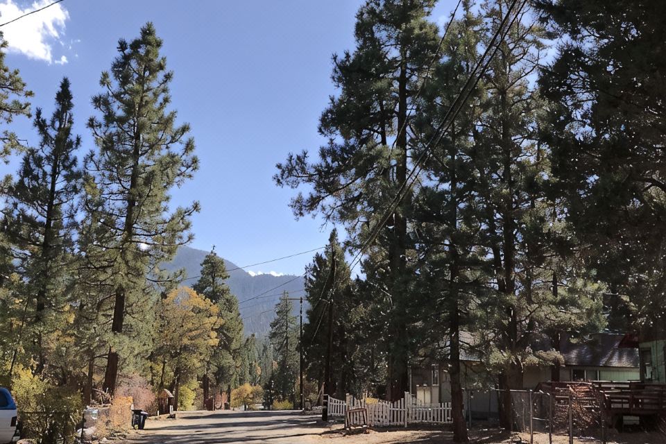Photo 6 of 6