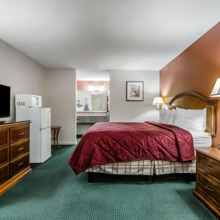 Econo Lodge Inn & Suites Enterprise
