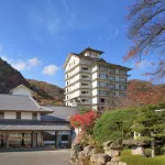 Yoshikawaya - piscina