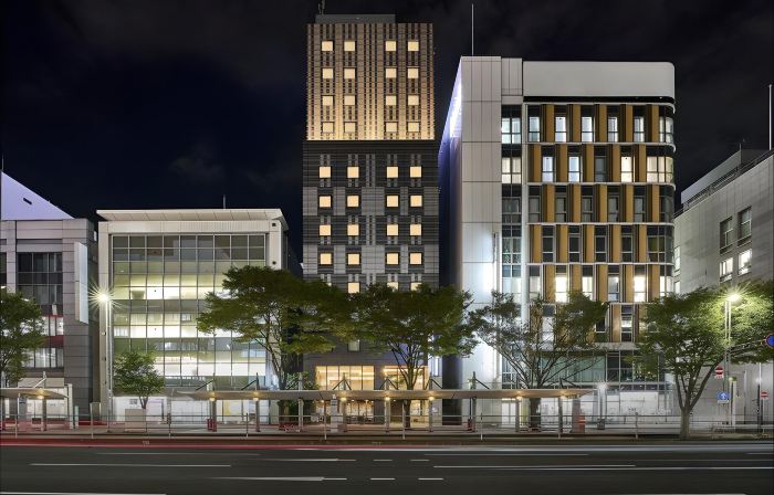 Daiwa Roynet Hotel Chiba Ekimae