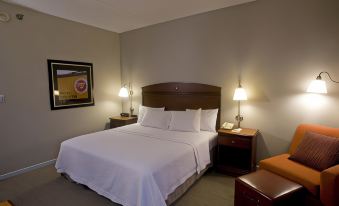 Hampton Inn Springfield-South