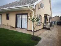 Aloe Tree