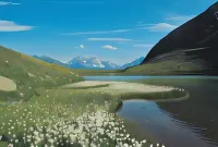 Hotel Hubertus Hotels in Mallnitz