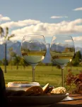 The Moorings Motel and Apartments Hotels in Wanaka