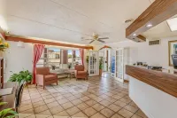 Econo Lodge Hotels in Eden