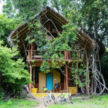 Back of Beyond - Wild Haven