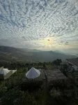 Hippo Homestay