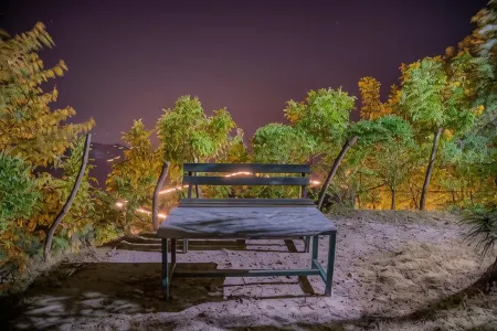 Vansathli I Near Mall Road Kasauli I Open Garden & Rooftop I by Humble Stay Villa