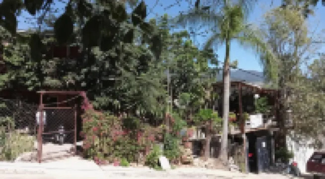 La Casa Del Nenufar - Hostel Hoteles en 