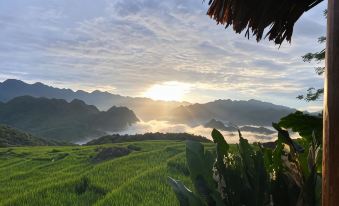 Puluong Ecocharm