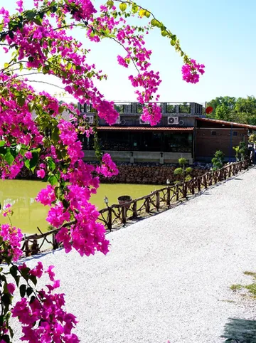 รูปภาพของอาณาจักร รีสอร์ท