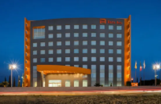 레알 인 산 루이스 포토시